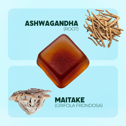 Ashwagandha KSM-66 and Maitake Gummies