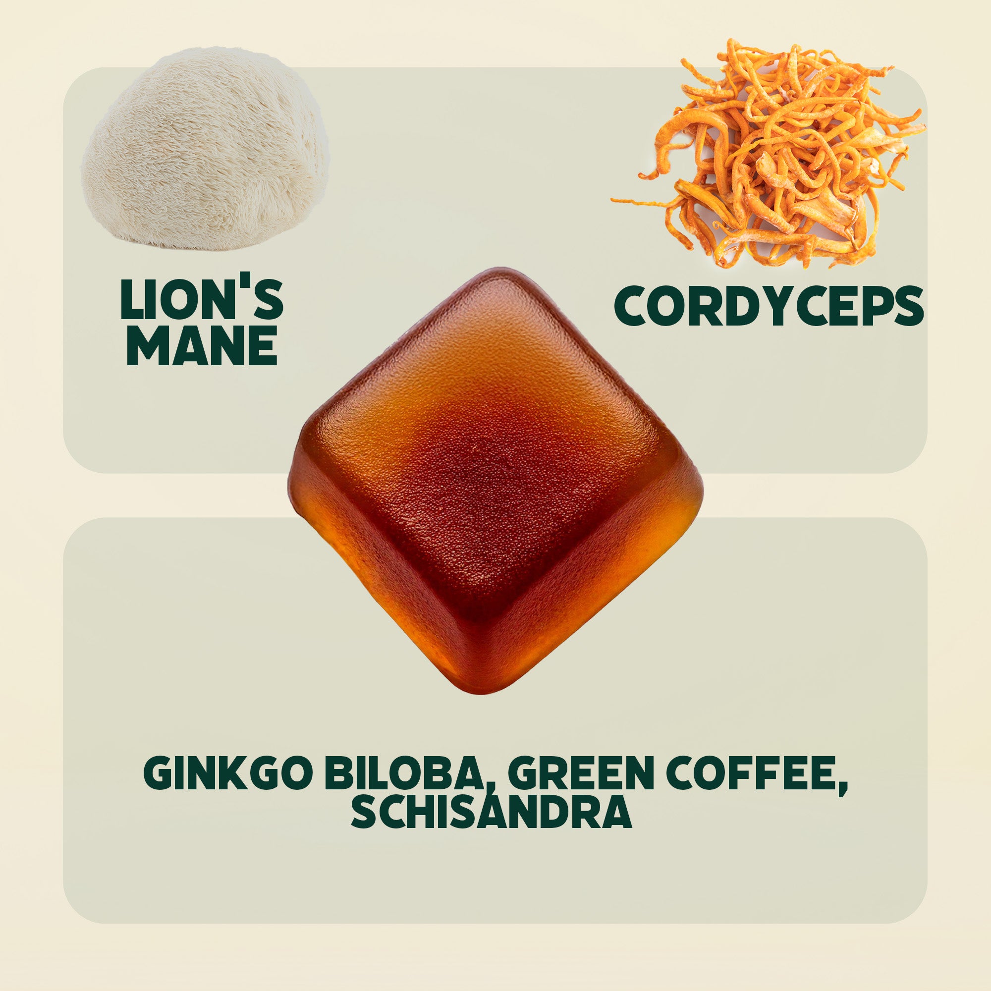 Lion's Mane and Cordyceps Gummies